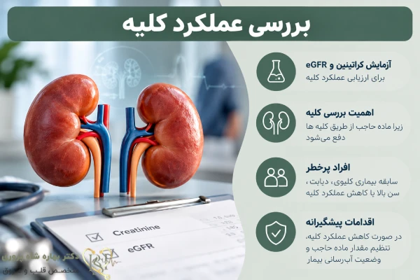 بررسی عملکرد کلیه